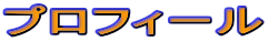 �v���t�B�[��